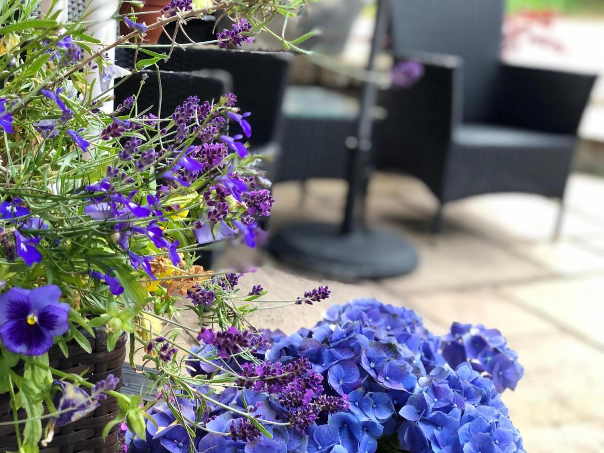 Carisbrooke Guest House 인버네스 외부 사진