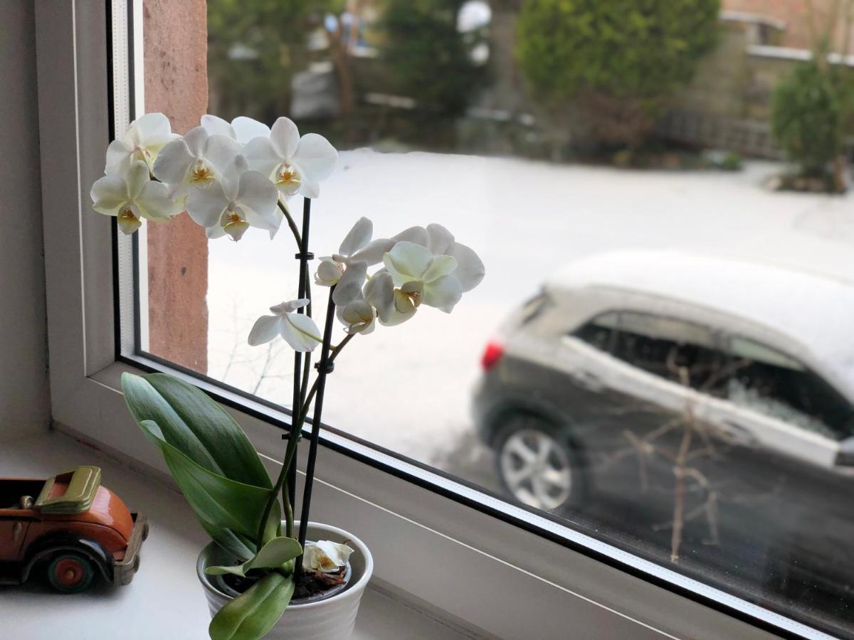 Carisbrooke Guest House 인버네스 외부 사진